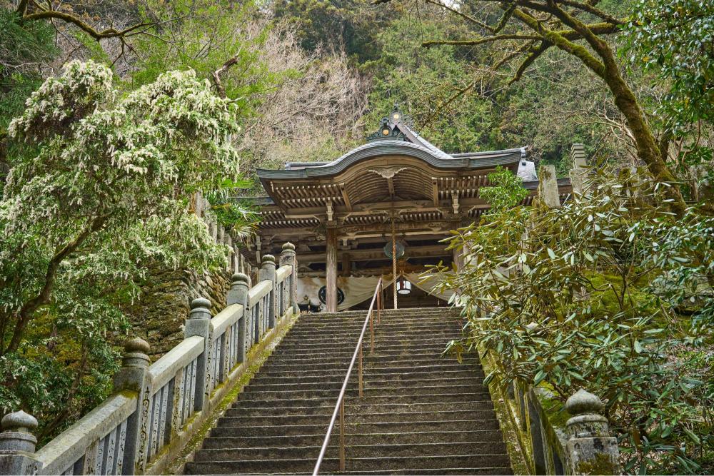 Stone staircase leading up to Daihōji Temple through the forest