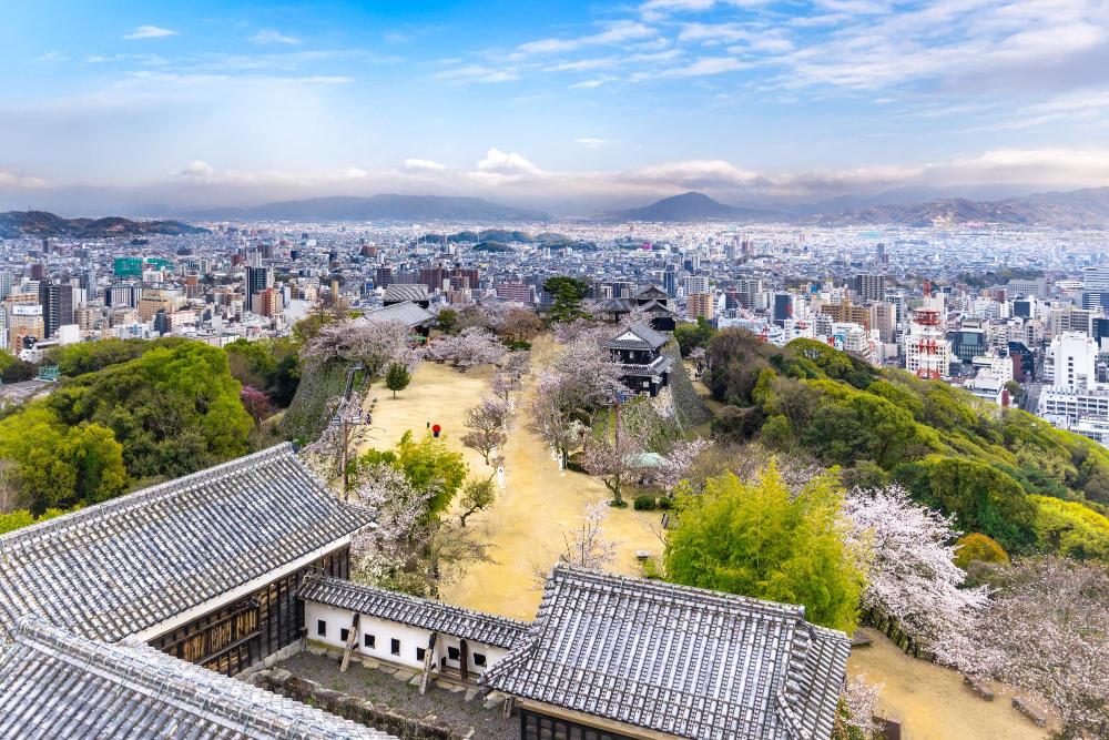 Matsuyama Castle and city skyline with cherry blossoms